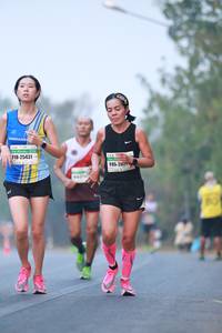BIB: 25431, 202
                            <button type="button" onclick="openModal(9978831)" class="btn btn-primary btn-sm float-right btn-popup" data-toggle="modal" data-target=".modal-high-quality">
                        <i class="fas fa-shopping-cart"></i> Add to Cart
                    </button>
                                            <button type="button" onclick="isThisMe(9978831, true)" class="btn btn-success btn-sm float-right btn-popup btn-isme hidden" data-toggle="tooltip" data-placement="bottom" title="นี่คือรูปของคุณใช่ไหม คลิกที่นี่เพื่อเอาเข้าอัลบั้ม">
                        <i class="fas fa-plus"></i> Add to album
                    </button>
                    <button type="button" onclick="isThisMe(9978831, false)" class="btn btn-warning btn-sm float-right btn-popup btn-isnotme hidden">
                        <i class="fas fa-ban"></i> Remove from album
                    </button>