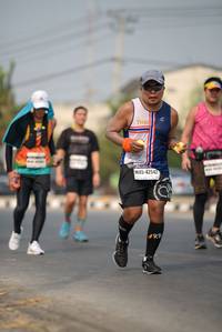 BIB: 42542
                            <button type="button" onclick="openModal(10389458)" class="btn btn-primary btn-sm float-right btn-popup" data-toggle="modal" data-target=".modal-high-quality">
                        <i class="fas fa-shopping-cart"></i> Add to Cart
                    </button>
                                            <button type="button" onclick="isThisMe(10389458, true)" class="btn btn-success btn-sm float-right btn-popup btn-isme hidden" data-toggle="tooltip" data-placement="bottom" title="นี่คือรูปของคุณใช่ไหม คลิกที่นี่เพื่อเอาเข้าอัลบั้ม">
                        <i class="fas fa-plus"></i> Add to album
                    </button>
                    <button type="button" onclick="isThisMe(10389458, false)" class="btn btn-warning btn-sm float-right btn-popup btn-isnotme hidden">
                        <i class="fas fa-ban"></i> Remove from album
                    </button>