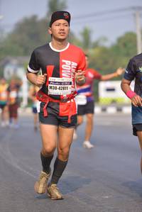 BIB: 42811
                            <button type="button" onclick="openModal(10245016)" class="btn btn-primary btn-sm float-right btn-popup" data-toggle="modal" data-target=".modal-high-quality">
                        <i class="fas fa-shopping-cart"></i> Add to Cart
                    </button>
                                            <button type="button" onclick="isThisMe(10245016, true)" class="btn btn-success btn-sm float-right btn-popup btn-isme hidden" data-toggle="tooltip" data-placement="bottom" title="นี่คือรูปของคุณใช่ไหม คลิกที่นี่เพื่อเอาเข้าอัลบั้ม">
                        <i class="fas fa-plus"></i> Add to album
                    </button>
                    <button type="button" onclick="isThisMe(10245016, false)" class="btn btn-warning btn-sm float-right btn-popup btn-isnotme hidden">
                        <i class="fas fa-ban"></i> Remove from album
                    </button>