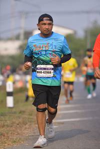 BIB: 42968
                            <button type="button" onclick="openModal(10245239)" class="btn btn-primary btn-sm float-right btn-popup" data-toggle="modal" data-target=".modal-high-quality">
                        <i class="fas fa-shopping-cart"></i> Add to Cart
                    </button>
                                            <button type="button" onclick="isThisMe(10245239, true)" class="btn btn-success btn-sm float-right btn-popup btn-isme hidden" data-toggle="tooltip" data-placement="bottom" title="นี่คือรูปของคุณใช่ไหม คลิกที่นี่เพื่อเอาเข้าอัลบั้ม">
                        <i class="fas fa-plus"></i> Add to album
                    </button>
                    <button type="button" onclick="isThisMe(10245239, false)" class="btn btn-warning btn-sm float-right btn-popup btn-isnotme hidden">
                        <i class="fas fa-ban"></i> Remove from album
                    </button>