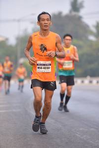 BIB: 48160
                            <button type="button" onclick="openModal(7431528)" class="btn btn-primary btn-sm float-right btn-popup" data-toggle="modal" data-target=".modal-high-quality">
                        <i class="fas fa-shopping-cart"></i> Add to Cart
                    </button>
                                            <button type="button" onclick="isThisMe(7431528, true)" class="btn btn-success btn-sm float-right btn-popup btn-isme hidden" data-toggle="tooltip" data-placement="bottom" title="นี่คือรูปของคุณใช่ไหม คลิกที่นี่เพื่อเอาเข้าอัลบั้ม">
                        <i class="fas fa-plus"></i> Add to album
                    </button>
                    <button type="button" onclick="isThisMe(7431528, false)" class="btn btn-warning btn-sm float-right btn-popup btn-isnotme hidden">
                        <i class="fas fa-ban"></i> Remove from album
                    </button>