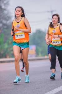 BIB: 10261, 10719
                            <button type="button" onclick="openModal(9869490)" class="btn btn-primary btn-sm float-right btn-popup" data-toggle="modal" data-target=".modal-high-quality">
                        <i class="fas fa-shopping-cart"></i> Add to Cart
                    </button>
                                            <button type="button" onclick="isThisMe(9869490, true)" class="btn btn-success btn-sm float-right btn-popup btn-isme hidden" data-toggle="tooltip" data-placement="bottom" title="นี่คือรูปของคุณใช่ไหม คลิกที่นี่เพื่อเอาเข้าอัลบั้ม">
                        <i class="fas fa-plus"></i> Add to album
                    </button>
                    <button type="button" onclick="isThisMe(9869490, false)" class="btn btn-warning btn-sm float-right btn-popup btn-isnotme hidden">
                        <i class="fas fa-ban"></i> Remove from album
                    </button>