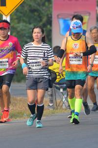 BIB: 42386, 42393, 47463
                            <button type="button" onclick="openModal(8338230)" class="btn btn-primary btn-sm float-right btn-popup" data-toggle="modal" data-target=".modal-high-quality">
                        <i class="fas fa-shopping-cart"></i> Add to Cart
                    </button>
                                            <button type="button" onclick="isThisMe(8338230, true)" class="btn btn-success btn-sm float-right btn-popup btn-isme hidden" data-toggle="tooltip" data-placement="bottom" title="นี่คือรูปของคุณใช่ไหม คลิกที่นี่เพื่อเอาเข้าอัลบั้ม">
                        <i class="fas fa-plus"></i> Add to album
                    </button>
                    <button type="button" onclick="isThisMe(8338230, false)" class="btn btn-warning btn-sm float-right btn-popup btn-isnotme hidden">
                        <i class="fas fa-ban"></i> Remove from album
                    </button>