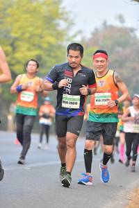 BIB: 215, 26019
                            <button type="button" onclick="openModal(7541748)" class="btn btn-primary btn-sm float-right btn-popup" data-toggle="modal" data-target=".modal-high-quality">
                        <i class="fas fa-shopping-cart"></i> Add to Cart
                    </button>
                                            <button type="button" onclick="isThisMe(7541748, true)" class="btn btn-success btn-sm float-right btn-popup btn-isme hidden" data-toggle="tooltip" data-placement="bottom" title="นี่คือรูปของคุณใช่ไหม คลิกที่นี่เพื่อเอาเข้าอัลบั้ม">
                        <i class="fas fa-plus"></i> Add to album
                    </button>
                    <button type="button" onclick="isThisMe(7541748, false)" class="btn btn-warning btn-sm float-right btn-popup btn-isnotme hidden">
                        <i class="fas fa-ban"></i> Remove from album
                    </button>
