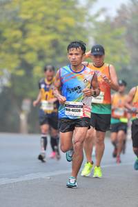BIB: 9918, 40339
                            <button type="button" onclick="openModal(7664525)" class="btn btn-primary btn-sm float-right btn-popup" data-toggle="modal" data-target=".modal-high-quality">
                        <i class="fas fa-shopping-cart"></i> Add to Cart
                    </button>
                                            <button type="button" onclick="isThisMe(7664525, true)" class="btn btn-success btn-sm float-right btn-popup btn-isme hidden" data-toggle="tooltip" data-placement="bottom" title="นี่คือรูปของคุณใช่ไหม คลิกที่นี่เพื่อเอาเข้าอัลบั้ม">
                        <i class="fas fa-plus"></i> Add to album
                    </button>
                    <button type="button" onclick="isThisMe(7664525, false)" class="btn btn-warning btn-sm float-right btn-popup btn-isnotme hidden">
                        <i class="fas fa-ban"></i> Remove from album
                    </button>