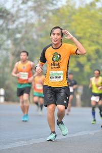 BIB: 26527
                            <button type="button" onclick="openModal(7604011)" class="btn btn-primary btn-sm float-right btn-popup" data-toggle="modal" data-target=".modal-high-quality">
                        <i class="fas fa-shopping-cart"></i> Add to Cart
                    </button>
                                            <button type="button" onclick="isThisMe(7604011, true)" class="btn btn-success btn-sm float-right btn-popup btn-isme hidden" data-toggle="tooltip" data-placement="bottom" title="นี่คือรูปของคุณใช่ไหม คลิกที่นี่เพื่อเอาเข้าอัลบั้ม">
                        <i class="fas fa-plus"></i> Add to album
                    </button>
                    <button type="button" onclick="isThisMe(7604011, false)" class="btn btn-warning btn-sm float-right btn-popup btn-isnotme hidden">
                        <i class="fas fa-ban"></i> Remove from album
                    </button>