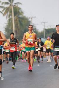 BIB: 542, 300
                            <button type="button" onclick="openModal(8565391)" class="btn btn-primary btn-sm float-right btn-popup" data-toggle="modal" data-target=".modal-high-quality">
                        <i class="fas fa-shopping-cart"></i> Add to Cart
                    </button>
                                            <button type="button" onclick="isThisMe(8565391, true)" class="btn btn-success btn-sm float-right btn-popup btn-isme hidden" data-toggle="tooltip" data-placement="bottom" title="นี่คือรูปของคุณใช่ไหม คลิกที่นี่เพื่อเอาเข้าอัลบั้ม">
                        <i class="fas fa-plus"></i> Add to album
                    </button>
                    <button type="button" onclick="isThisMe(8565391, false)" class="btn btn-warning btn-sm float-right btn-popup btn-isnotme hidden">
                        <i class="fas fa-ban"></i> Remove from album
                    </button>