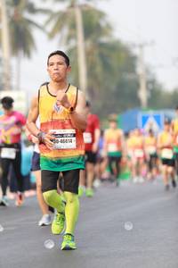 BIB: 41675, 42337, 
                            <button type="button" onclick="openModal(8628997)" class="btn btn-primary btn-sm float-right btn-popup" data-toggle="modal" data-target=".modal-high-quality">
                        <i class="fas fa-shopping-cart"></i> Add to Cart
                    </button>
                                            <button type="button" onclick="isThisMe(8628997, true)" class="btn btn-success btn-sm float-right btn-popup btn-isme hidden" data-toggle="tooltip" data-placement="bottom" title="นี่คือรูปของคุณใช่ไหม คลิกที่นี่เพื่อเอาเข้าอัลบั้ม">
                        <i class="fas fa-plus"></i> Add to album
                    </button>
                    <button type="button" onclick="isThisMe(8628997, false)" class="btn btn-warning btn-sm float-right btn-popup btn-isnotme hidden">
                        <i class="fas fa-ban"></i> Remove from album
                    </button>