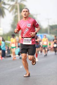 BIB: 181
                            <button type="button" onclick="openModal(8735425)" class="btn btn-primary btn-sm float-right btn-popup" data-toggle="modal" data-target=".modal-high-quality">
                        <i class="fas fa-shopping-cart"></i> Add to Cart
                    </button>
                                            <button type="button" onclick="isThisMe(8735425, true)" class="btn btn-success btn-sm float-right btn-popup btn-isme hidden" data-toggle="tooltip" data-placement="bottom" title="นี่คือรูปของคุณใช่ไหม คลิกที่นี่เพื่อเอาเข้าอัลบั้ม">
                        <i class="fas fa-plus"></i> Add to album
                    </button>
                    <button type="button" onclick="isThisMe(8735425, false)" class="btn btn-warning btn-sm float-right btn-popup btn-isnotme hidden">
                        <i class="fas fa-ban"></i> Remove from album
                    </button>