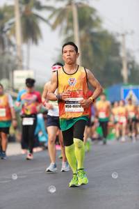 BIB: 41675, 337, 
                            <button type="button" onclick="openModal(8628975)" class="btn btn-primary btn-sm float-right btn-popup" data-toggle="modal" data-target=".modal-high-quality">
                        <i class="fas fa-shopping-cart"></i> Add to Cart
                    </button>
                                            <button type="button" onclick="isThisMe(8628975, true)" class="btn btn-success btn-sm float-right btn-popup btn-isme hidden" data-toggle="tooltip" data-placement="bottom" title="นี่คือรูปของคุณใช่ไหม คลิกที่นี่เพื่อเอาเข้าอัลบั้ม">
                        <i class="fas fa-plus"></i> Add to album
                    </button>
                    <button type="button" onclick="isThisMe(8628975, false)" class="btn btn-warning btn-sm float-right btn-popup btn-isnotme hidden">
                        <i class="fas fa-ban"></i> Remove from album
                    </button>
