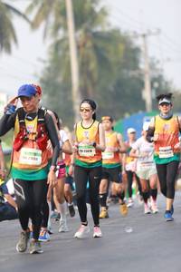 BIB: 47115
                            <button type="button" onclick="openModal(8784333)" class="btn btn-primary btn-sm float-right btn-popup" data-toggle="modal" data-target=".modal-high-quality">
                        <i class="fas fa-shopping-cart"></i> Add to Cart
                    </button>
                                            <button type="button" onclick="isThisMe(8784333, true)" class="btn btn-success btn-sm float-right btn-popup btn-isme hidden" data-toggle="tooltip" data-placement="bottom" title="นี่คือรูปของคุณใช่ไหม คลิกที่นี่เพื่อเอาเข้าอัลบั้ม">
                        <i class="fas fa-plus"></i> Add to album
                    </button>
                    <button type="button" onclick="isThisMe(8784333, false)" class="btn btn-warning btn-sm float-right btn-popup btn-isnotme hidden">
                        <i class="fas fa-ban"></i> Remove from album
                    </button>