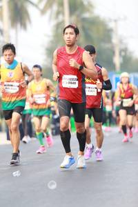 BIB: 46682
                            <button type="button" onclick="openModal(7709745)" class="btn btn-primary btn-sm float-right btn-popup" data-toggle="modal" data-target=".modal-high-quality">
                        <i class="fas fa-shopping-cart"></i> Add to Cart
                    </button>
                                            <button type="button" onclick="isThisMe(7709745, true)" class="btn btn-success btn-sm float-right btn-popup btn-isme hidden" data-toggle="tooltip" data-placement="bottom" title="นี่คือรูปของคุณใช่ไหม คลิกที่นี่เพื่อเอาเข้าอัลบั้ม">
                        <i class="fas fa-plus"></i> Add to album
                    </button>
                    <button type="button" onclick="isThisMe(7709745, false)" class="btn btn-warning btn-sm float-right btn-popup btn-isnotme hidden">
                        <i class="fas fa-ban"></i> Remove from album
                    </button>