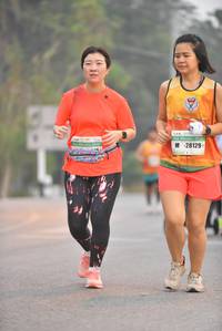 BIB: 28129
                            <button type="button" onclick="openModal(7518643)" class="btn btn-primary btn-sm float-right btn-popup" data-toggle="modal" data-target=".modal-high-quality">
                        <i class="fas fa-shopping-cart"></i> Add to Cart
                    </button>
                                            <button type="button" onclick="isThisMe(7518643, true)" class="btn btn-success btn-sm float-right btn-popup btn-isme hidden" data-toggle="tooltip" data-placement="bottom" title="นี่คือรูปของคุณใช่ไหม คลิกที่นี่เพื่อเอาเข้าอัลบั้ม">
                        <i class="fas fa-plus"></i> Add to album
                    </button>
                    <button type="button" onclick="isThisMe(7518643, false)" class="btn btn-warning btn-sm float-right btn-popup btn-isnotme hidden">
                        <i class="fas fa-ban"></i> Remove from album
                    </button>