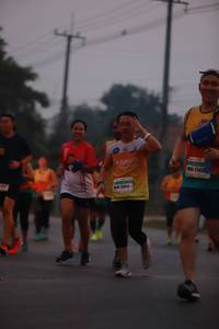 BIB: 214, 22014
                            <button type="button" onclick="openModal(9934149)" class="btn btn-primary btn-sm float-right btn-popup" data-toggle="modal" data-target=".modal-high-quality">
                        <i class="fas fa-shopping-cart"></i> Add to Cart
                    </button>
                                            <button type="button" onclick="isThisMe(9934149, true)" class="btn btn-success btn-sm float-right btn-popup btn-isme hidden" data-toggle="tooltip" data-placement="bottom" title="นี่คือรูปของคุณใช่ไหม คลิกที่นี่เพื่อเอาเข้าอัลบั้ม">
                        <i class="fas fa-plus"></i> Add to album
                    </button>
                    <button type="button" onclick="isThisMe(9934149, false)" class="btn btn-warning btn-sm float-right btn-popup btn-isnotme hidden">
                        <i class="fas fa-ban"></i> Remove from album
                    </button>