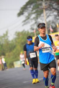 BIB: 47343
                            <button type="button" onclick="openModal(10119512)" class="btn btn-primary btn-sm float-right btn-popup" data-toggle="modal" data-target=".modal-high-quality">
                        <i class="fas fa-shopping-cart"></i> Add to Cart
                    </button>
                                            <button type="button" onclick="isThisMe(10119512, true)" class="btn btn-success btn-sm float-right btn-popup btn-isme hidden" data-toggle="tooltip" data-placement="bottom" title="นี่คือรูปของคุณใช่ไหม คลิกที่นี่เพื่อเอาเข้าอัลบั้ม">
                        <i class="fas fa-plus"></i> Add to album
                    </button>
                    <button type="button" onclick="isThisMe(10119512, false)" class="btn btn-warning btn-sm float-right btn-popup btn-isnotme hidden">
                        <i class="fas fa-ban"></i> Remove from album
                    </button>