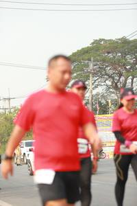 BIB: 
                            <button type="button" onclick="openModal(10016940)" class="btn btn-primary btn-sm float-right btn-popup" data-toggle="modal" data-target=".modal-high-quality">
                        <i class="fas fa-shopping-cart"></i> Add to Cart
                    </button>
                                            <button type="button" onclick="isThisMe(10016940, true)" class="btn btn-success btn-sm float-right btn-popup btn-isme hidden" data-toggle="tooltip" data-placement="bottom" title="นี่คือรูปของคุณใช่ไหม คลิกที่นี่เพื่อเอาเข้าอัลบั้ม">
                        <i class="fas fa-plus"></i> Add to album
                    </button>
                    <button type="button" onclick="isThisMe(10016940, false)" class="btn btn-warning btn-sm float-right btn-popup btn-isnotme hidden">
                        <i class="fas fa-ban"></i> Remove from album
                    </button>