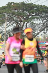 BIB: 
                            <button type="button" onclick="openModal(10020343)" class="btn btn-primary btn-sm float-right btn-popup" data-toggle="modal" data-target=".modal-high-quality">
                        <i class="fas fa-shopping-cart"></i> Add to Cart
                    </button>
                                            <button type="button" onclick="isThisMe(10020343, true)" class="btn btn-success btn-sm float-right btn-popup btn-isme hidden" data-toggle="tooltip" data-placement="bottom" title="นี่คือรูปของคุณใช่ไหม คลิกที่นี่เพื่อเอาเข้าอัลบั้ม">
                        <i class="fas fa-plus"></i> Add to album
                    </button>
                    <button type="button" onclick="isThisMe(10020343, false)" class="btn btn-warning btn-sm float-right btn-popup btn-isnotme hidden">
                        <i class="fas fa-ban"></i> Remove from album
                    </button>