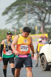 BIB: 47244, 452
                            <button type="button" onclick="openModal(10024165)" class="btn btn-primary btn-sm float-right btn-popup" data-toggle="modal" data-target=".modal-high-quality">
                        <i class="fas fa-shopping-cart"></i> Add to Cart
                    </button>
                                            <button type="button" onclick="isThisMe(10024165, true)" class="btn btn-success btn-sm float-right btn-popup btn-isme hidden" data-toggle="tooltip" data-placement="bottom" title="นี่คือรูปของคุณใช่ไหม คลิกที่นี่เพื่อเอาเข้าอัลบั้ม">
                        <i class="fas fa-plus"></i> Add to album
                    </button>
                    <button type="button" onclick="isThisMe(10024165, false)" class="btn btn-warning btn-sm float-right btn-popup btn-isnotme hidden">
                        <i class="fas fa-ban"></i> Remove from album
                    </button>