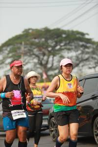 BIB: 46109
                            <button type="button" onclick="openModal(10022229)" class="btn btn-primary btn-sm float-right btn-popup" data-toggle="modal" data-target=".modal-high-quality">
                        <i class="fas fa-shopping-cart"></i> Add to Cart
                    </button>
                                            <button type="button" onclick="isThisMe(10022229, true)" class="btn btn-success btn-sm float-right btn-popup btn-isme hidden" data-toggle="tooltip" data-placement="bottom" title="นี่คือรูปของคุณใช่ไหม คลิกที่นี่เพื่อเอาเข้าอัลบั้ม">
                        <i class="fas fa-plus"></i> Add to album
                    </button>
                    <button type="button" onclick="isThisMe(10022229, false)" class="btn btn-warning btn-sm float-right btn-popup btn-isnotme hidden">
                        <i class="fas fa-ban"></i> Remove from album
                    </button>