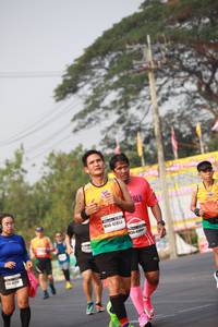 BIB: 42853, 4300, 4710
                            <button type="button" onclick="openModal(10121607)" class="btn btn-primary btn-sm float-right btn-popup" data-toggle="modal" data-target=".modal-high-quality">
                        <i class="fas fa-shopping-cart"></i> Add to Cart
                    </button>
                                            <button type="button" onclick="isThisMe(10121607, true)" class="btn btn-success btn-sm float-right btn-popup btn-isme hidden" data-toggle="tooltip" data-placement="bottom" title="นี่คือรูปของคุณใช่ไหม คลิกที่นี่เพื่อเอาเข้าอัลบั้ม">
                        <i class="fas fa-plus"></i> Add to album
                    </button>
                    <button type="button" onclick="isThisMe(10121607, false)" class="btn btn-warning btn-sm float-right btn-popup btn-isnotme hidden">
                        <i class="fas fa-ban"></i> Remove from album
                    </button>
