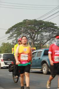 BIB: 
                            <button type="button" onclick="openModal(10021037)" class="btn btn-primary btn-sm float-right btn-popup" data-toggle="modal" data-target=".modal-high-quality">
                        <i class="fas fa-shopping-cart"></i> Add to Cart
                    </button>
                                            <button type="button" onclick="isThisMe(10021037, true)" class="btn btn-success btn-sm float-right btn-popup btn-isme hidden" data-toggle="tooltip" data-placement="bottom" title="นี่คือรูปของคุณใช่ไหม คลิกที่นี่เพื่อเอาเข้าอัลบั้ม">
                        <i class="fas fa-plus"></i> Add to album
                    </button>
                    <button type="button" onclick="isThisMe(10021037, false)" class="btn btn-warning btn-sm float-right btn-popup btn-isnotme hidden">
                        <i class="fas fa-ban"></i> Remove from album
                    </button>