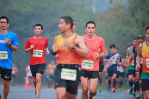 BIB: 21909, 21422
                            <button type="button" onclick="openModal(9950023)" class="btn btn-primary btn-sm float-right btn-popup" data-toggle="modal" data-target=".modal-high-quality">
                        <i class="fas fa-shopping-cart"></i> Add to Cart
                    </button>
                                            <button type="button" onclick="isThisMe(9950023, true)" class="btn btn-success btn-sm float-right btn-popup btn-isme hidden" data-toggle="tooltip" data-placement="bottom" title="นี่คือรูปของคุณใช่ไหม คลิกที่นี่เพื่อเอาเข้าอัลบั้ม">
                        <i class="fas fa-plus"></i> Add to album
                    </button>
                    <button type="button" onclick="isThisMe(9950023, false)" class="btn btn-warning btn-sm float-right btn-popup btn-isnotme hidden">
                        <i class="fas fa-ban"></i> Remove from album
                    </button>