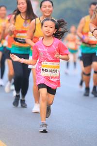 BIB: 16238
                            <button type="button" onclick="openModal(10223190)" class="btn btn-primary btn-sm float-right btn-popup" data-toggle="modal" data-target=".modal-high-quality">
                        <i class="fas fa-shopping-cart"></i> Add to Cart
                    </button>
                                            <button type="button" onclick="isThisMe(10223190, true)" class="btn btn-success btn-sm float-right btn-popup btn-isme hidden" data-toggle="tooltip" data-placement="bottom" title="นี่คือรูปของคุณใช่ไหม คลิกที่นี่เพื่อเอาเข้าอัลบั้ม">
                        <i class="fas fa-plus"></i> Add to album
                    </button>
                    <button type="button" onclick="isThisMe(10223190, false)" class="btn btn-warning btn-sm float-right btn-popup btn-isnotme hidden">
                        <i class="fas fa-ban"></i> Remove from album
                    </button>