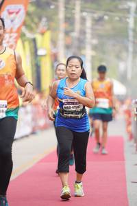 BIB: 41587
                            <button type="button" onclick="openModal(9897110)" class="btn btn-primary btn-sm float-right btn-popup" data-toggle="modal" data-target=".modal-high-quality">
                        <i class="fas fa-shopping-cart"></i> Add to Cart
                    </button>
                                            <button type="button" onclick="isThisMe(9897110, true)" class="btn btn-success btn-sm float-right btn-popup btn-isme hidden" data-toggle="tooltip" data-placement="bottom" title="นี่คือรูปของคุณใช่ไหม คลิกที่นี่เพื่อเอาเข้าอัลบั้ม">
                        <i class="fas fa-plus"></i> Add to album
                    </button>
                    <button type="button" onclick="isThisMe(9897110, false)" class="btn btn-warning btn-sm float-right btn-popup btn-isnotme hidden">
                        <i class="fas fa-ban"></i> Remove from album
                    </button>