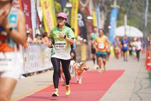 BIB: 45332
                            <button type="button" onclick="openModal(8337305)" class="btn btn-primary btn-sm float-right btn-popup" data-toggle="modal" data-target=".modal-high-quality">
                        <i class="fas fa-shopping-cart"></i> Add to Cart
                    </button>
                                            <button type="button" onclick="isThisMe(8337305, true)" class="btn btn-success btn-sm float-right btn-popup btn-isme hidden" data-toggle="tooltip" data-placement="bottom" title="นี่คือรูปของคุณใช่ไหม คลิกที่นี่เพื่อเอาเข้าอัลบั้ม">
                        <i class="fas fa-plus"></i> Add to album
                    </button>
                    <button type="button" onclick="isThisMe(8337305, false)" class="btn btn-warning btn-sm float-right btn-popup btn-isnotme hidden">
                        <i class="fas fa-ban"></i> Remove from album
                    </button>