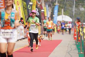 BIB: 45332
                            <button type="button" onclick="openModal(8337301)" class="btn btn-primary btn-sm float-right btn-popup" data-toggle="modal" data-target=".modal-high-quality">
                        <i class="fas fa-shopping-cart"></i> Add to Cart
                    </button>
                                            <button type="button" onclick="isThisMe(8337301, true)" class="btn btn-success btn-sm float-right btn-popup btn-isme hidden" data-toggle="tooltip" data-placement="bottom" title="นี่คือรูปของคุณใช่ไหม คลิกที่นี่เพื่อเอาเข้าอัลบั้ม">
                        <i class="fas fa-plus"></i> Add to album
                    </button>
                    <button type="button" onclick="isThisMe(8337301, false)" class="btn btn-warning btn-sm float-right btn-popup btn-isnotme hidden">
                        <i class="fas fa-ban"></i> Remove from album
                    </button>