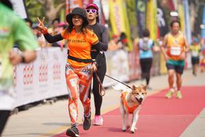 BIB: 
                            <button type="button" onclick="openModal(8337536)" class="btn btn-primary btn-sm float-right btn-popup" data-toggle="modal" data-target=".modal-high-quality">
                        <i class="fas fa-shopping-cart"></i> Add to Cart
                    </button>
                                            <button type="button" onclick="isThisMe(8337536, true)" class="btn btn-success btn-sm float-right btn-popup btn-isme hidden" data-toggle="tooltip" data-placement="bottom" title="นี่คือรูปของคุณใช่ไหม คลิกที่นี่เพื่อเอาเข้าอัลบั้ม">
                        <i class="fas fa-plus"></i> Add to album
                    </button>
                    <button type="button" onclick="isThisMe(8337536, false)" class="btn btn-warning btn-sm float-right btn-popup btn-isnotme hidden">
                        <i class="fas fa-ban"></i> Remove from album
                    </button>