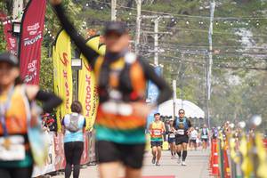 BIB: 
                            <button type="button" onclick="openModal(8324240)" class="btn btn-primary btn-sm float-right btn-popup" data-toggle="modal" data-target=".modal-high-quality">
                        <i class="fas fa-shopping-cart"></i> Add to Cart
                    </button>
                                            <button type="button" onclick="isThisMe(8324240, true)" class="btn btn-success btn-sm float-right btn-popup btn-isme hidden" data-toggle="tooltip" data-placement="bottom" title="นี่คือรูปของคุณใช่ไหม คลิกที่นี่เพื่อเอาเข้าอัลบั้ม">
                        <i class="fas fa-plus"></i> Add to album
                    </button>
                    <button type="button" onclick="isThisMe(8324240, false)" class="btn btn-warning btn-sm float-right btn-popup btn-isnotme hidden">
                        <i class="fas fa-ban"></i> Remove from album
                    </button>