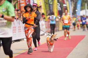 BIB: 
                            <button type="button" onclick="openModal(8337432)" class="btn btn-primary btn-sm float-right btn-popup" data-toggle="modal" data-target=".modal-high-quality">
                        <i class="fas fa-shopping-cart"></i> Add to Cart
                    </button>
                                            <button type="button" onclick="isThisMe(8337432, true)" class="btn btn-success btn-sm float-right btn-popup btn-isme hidden" data-toggle="tooltip" data-placement="bottom" title="นี่คือรูปของคุณใช่ไหม คลิกที่นี่เพื่อเอาเข้าอัลบั้ม">
                        <i class="fas fa-plus"></i> Add to album
                    </button>
                    <button type="button" onclick="isThisMe(8337432, false)" class="btn btn-warning btn-sm float-right btn-popup btn-isnotme hidden">
                        <i class="fas fa-ban"></i> Remove from album
                    </button>