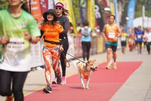 BIB: 
                            <button type="button" onclick="openModal(8337391)" class="btn btn-primary btn-sm float-right btn-popup" data-toggle="modal" data-target=".modal-high-quality">
                        <i class="fas fa-shopping-cart"></i> Add to Cart
                    </button>
                                            <button type="button" onclick="isThisMe(8337391, true)" class="btn btn-success btn-sm float-right btn-popup btn-isme hidden" data-toggle="tooltip" data-placement="bottom" title="นี่คือรูปของคุณใช่ไหม คลิกที่นี่เพื่อเอาเข้าอัลบั้ม">
                        <i class="fas fa-plus"></i> Add to album
                    </button>
                    <button type="button" onclick="isThisMe(8337391, false)" class="btn btn-warning btn-sm float-right btn-popup btn-isnotme hidden">
                        <i class="fas fa-ban"></i> Remove from album
                    </button>