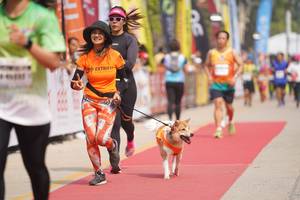 BIB: 
                            <button type="button" onclick="openModal(8337410)" class="btn btn-primary btn-sm float-right btn-popup" data-toggle="modal" data-target=".modal-high-quality">
                        <i class="fas fa-shopping-cart"></i> Add to Cart
                    </button>
                                            <button type="button" onclick="isThisMe(8337410, true)" class="btn btn-success btn-sm float-right btn-popup btn-isme hidden" data-toggle="tooltip" data-placement="bottom" title="นี่คือรูปของคุณใช่ไหม คลิกที่นี่เพื่อเอาเข้าอัลบั้ม">
                        <i class="fas fa-plus"></i> Add to album
                    </button>
                    <button type="button" onclick="isThisMe(8337410, false)" class="btn btn-warning btn-sm float-right btn-popup btn-isnotme hidden">
                        <i class="fas fa-ban"></i> Remove from album
                    </button>