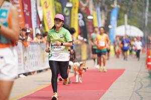 BIB: 45332
                            <button type="button" onclick="openModal(8337304)" class="btn btn-primary btn-sm float-right btn-popup" data-toggle="modal" data-target=".modal-high-quality">
                        <i class="fas fa-shopping-cart"></i> Add to Cart
                    </button>
                                            <button type="button" onclick="isThisMe(8337304, true)" class="btn btn-success btn-sm float-right btn-popup btn-isme hidden" data-toggle="tooltip" data-placement="bottom" title="นี่คือรูปของคุณใช่ไหม คลิกที่นี่เพื่อเอาเข้าอัลบั้ม">
                        <i class="fas fa-plus"></i> Add to album
                    </button>
                    <button type="button" onclick="isThisMe(8337304, false)" class="btn btn-warning btn-sm float-right btn-popup btn-isnotme hidden">
                        <i class="fas fa-ban"></i> Remove from album
                    </button>