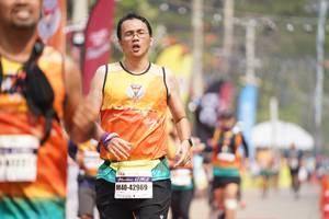 BIB: 42969
                            <button type="button" onclick="openModal(8324086)" class="btn btn-primary btn-sm float-right btn-popup" data-toggle="modal" data-target=".modal-high-quality">
                        <i class="fas fa-shopping-cart"></i> Add to Cart
                    </button>
                                            <button type="button" onclick="isThisMe(8324086, true)" class="btn btn-success btn-sm float-right btn-popup btn-isme hidden" data-toggle="tooltip" data-placement="bottom" title="นี่คือรูปของคุณใช่ไหม คลิกที่นี่เพื่อเอาเข้าอัลบั้ม">
                        <i class="fas fa-plus"></i> Add to album
                    </button>
                    <button type="button" onclick="isThisMe(8324086, false)" class="btn btn-warning btn-sm float-right btn-popup btn-isnotme hidden">
                        <i class="fas fa-ban"></i> Remove from album
                    </button>