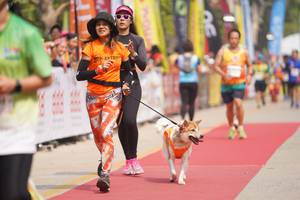 BIB: 
                            <button type="button" onclick="openModal(8337451)" class="btn btn-primary btn-sm float-right btn-popup" data-toggle="modal" data-target=".modal-high-quality">
                        <i class="fas fa-shopping-cart"></i> Add to Cart
                    </button>
                                            <button type="button" onclick="isThisMe(8337451, true)" class="btn btn-success btn-sm float-right btn-popup btn-isme hidden" data-toggle="tooltip" data-placement="bottom" title="นี่คือรูปของคุณใช่ไหม คลิกที่นี่เพื่อเอาเข้าอัลบั้ม">
                        <i class="fas fa-plus"></i> Add to album
                    </button>
                    <button type="button" onclick="isThisMe(8337451, false)" class="btn btn-warning btn-sm float-right btn-popup btn-isnotme hidden">
                        <i class="fas fa-ban"></i> Remove from album
                    </button>