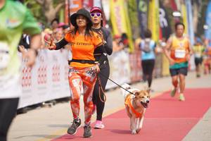 BIB: 
                            <button type="button" onclick="openModal(8337467)" class="btn btn-primary btn-sm float-right btn-popup" data-toggle="modal" data-target=".modal-high-quality">
                        <i class="fas fa-shopping-cart"></i> Add to Cart
                    </button>
                                            <button type="button" onclick="isThisMe(8337467, true)" class="btn btn-success btn-sm float-right btn-popup btn-isme hidden" data-toggle="tooltip" data-placement="bottom" title="นี่คือรูปของคุณใช่ไหม คลิกที่นี่เพื่อเอาเข้าอัลบั้ม">
                        <i class="fas fa-plus"></i> Add to album
                    </button>
                    <button type="button" onclick="isThisMe(8337467, false)" class="btn btn-warning btn-sm float-right btn-popup btn-isnotme hidden">
                        <i class="fas fa-ban"></i> Remove from album
                    </button>