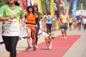 BIB: 
                            <button type="button" onclick="openModal(8337401)" class="btn btn-primary btn-sm float-right btn-popup" data-toggle="modal" data-target=".modal-high-quality">
                        <i class="fas fa-shopping-cart"></i> Add to Cart
                    </button>
                                            <button type="button" onclick="isThisMe(8337401, true)" class="btn btn-success btn-sm float-right btn-popup btn-isme hidden" data-toggle="tooltip" data-placement="bottom" title="นี่คือรูปของคุณใช่ไหม คลิกที่นี่เพื่อเอาเข้าอัลบั้ม">
                        <i class="fas fa-plus"></i> Add to album
                    </button>
                    <button type="button" onclick="isThisMe(8337401, false)" class="btn btn-warning btn-sm float-right btn-popup btn-isnotme hidden">
                        <i class="fas fa-ban"></i> Remove from album
                    </button>