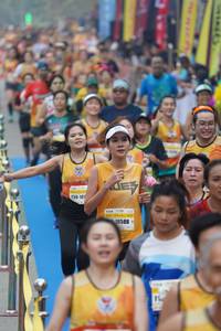 BIB: 101, 16588
                            <button type="button" onclick="openModal(7338139)" class="btn btn-primary btn-sm float-right btn-popup" data-toggle="modal" data-target=".modal-high-quality">
                        <i class="fas fa-shopping-cart"></i> Add to Cart
                    </button>
                                            <button type="button" onclick="isThisMe(7338139, true)" class="btn btn-success btn-sm float-right btn-popup btn-isme hidden" data-toggle="tooltip" data-placement="bottom" title="นี่คือรูปของคุณใช่ไหม คลิกที่นี่เพื่อเอาเข้าอัลบั้ม">
                        <i class="fas fa-plus"></i> Add to album
                    </button>
                    <button type="button" onclick="isThisMe(7338139, false)" class="btn btn-warning btn-sm float-right btn-popup btn-isnotme hidden">
                        <i class="fas fa-ban"></i> Remove from album
                    </button>