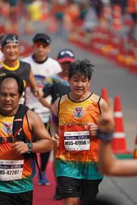 BIB: 42192, 47956, 42287
                            <button type="button" onclick="openModal(7874134)" class="btn btn-primary btn-sm float-right btn-popup" data-toggle="modal" data-target=".modal-high-quality">
                        <i class="fas fa-shopping-cart"></i> Add to Cart
                    </button>
                                            <button type="button" onclick="isThisMe(7874134, true)" class="btn btn-success btn-sm float-right btn-popup btn-isme hidden" data-toggle="tooltip" data-placement="bottom" title="นี่คือรูปของคุณใช่ไหม คลิกที่นี่เพื่อเอาเข้าอัลบั้ม">
                        <i class="fas fa-plus"></i> Add to album
                    </button>
                    <button type="button" onclick="isThisMe(7874134, false)" class="btn btn-warning btn-sm float-right btn-popup btn-isnotme hidden">
                        <i class="fas fa-ban"></i> Remove from album
                    </button>