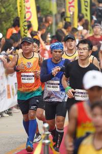 BIB: 42627, 48474, 42427
                            <button type="button" onclick="openModal(7676699)" class="btn btn-primary btn-sm float-right btn-popup" data-toggle="modal" data-target=".modal-high-quality">
                        <i class="fas fa-shopping-cart"></i> Add to Cart
                    </button>
                                            <button type="button" onclick="isThisMe(7676699, true)" class="btn btn-success btn-sm float-right btn-popup btn-isme hidden" data-toggle="tooltip" data-placement="bottom" title="นี่คือรูปของคุณใช่ไหม คลิกที่นี่เพื่อเอาเข้าอัลบั้ม">
                        <i class="fas fa-plus"></i> Add to album
                    </button>
                    <button type="button" onclick="isThisMe(7676699, false)" class="btn btn-warning btn-sm float-right btn-popup btn-isnotme hidden">
                        <i class="fas fa-ban"></i> Remove from album
                    </button>
