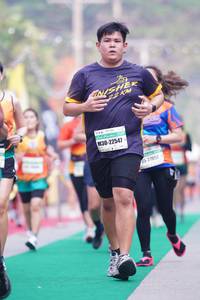 BIB: 22547, 27057
                            <button type="button" onclick="openModal(7441875)" class="btn btn-primary btn-sm float-right btn-popup" data-toggle="modal" data-target=".modal-high-quality">
                        <i class="fas fa-shopping-cart"></i> Add to Cart
                    </button>
                                            <button type="button" onclick="isThisMe(7441875, true)" class="btn btn-success btn-sm float-right btn-popup btn-isme hidden" data-toggle="tooltip" data-placement="bottom" title="นี่คือรูปของคุณใช่ไหม คลิกที่นี่เพื่อเอาเข้าอัลบั้ม">
                        <i class="fas fa-plus"></i> Add to album
                    </button>
                    <button type="button" onclick="isThisMe(7441875, false)" class="btn btn-warning btn-sm float-right btn-popup btn-isnotme hidden">
                        <i class="fas fa-ban"></i> Remove from album
                    </button>