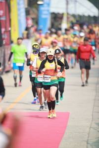 BIB: 
                            <button type="button" onclick="openModal(8411443)" class="btn btn-primary btn-sm float-right btn-popup" data-toggle="modal" data-target=".modal-high-quality">
                        <i class="fas fa-shopping-cart"></i> Add to Cart
                    </button>
                                            <button type="button" onclick="isThisMe(8411443, true)" class="btn btn-success btn-sm float-right btn-popup btn-isme hidden" data-toggle="tooltip" data-placement="bottom" title="นี่คือรูปของคุณใช่ไหม คลิกที่นี่เพื่อเอาเข้าอัลบั้ม">
                        <i class="fas fa-plus"></i> Add to album
                    </button>
                    <button type="button" onclick="isThisMe(8411443, false)" class="btn btn-warning btn-sm float-right btn-popup btn-isnotme hidden">
                        <i class="fas fa-ban"></i> Remove from album
                    </button>