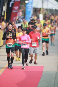 BIB: 45384
                            <button type="button" onclick="openModal(8319461)" class="btn btn-primary btn-sm float-right btn-popup" data-toggle="modal" data-target=".modal-high-quality">
                        <i class="fas fa-shopping-cart"></i> Add to Cart
                    </button>
                                            <button type="button" onclick="isThisMe(8319461, true)" class="btn btn-success btn-sm float-right btn-popup btn-isme hidden" data-toggle="tooltip" data-placement="bottom" title="นี่คือรูปของคุณใช่ไหม คลิกที่นี่เพื่อเอาเข้าอัลบั้ม">
                        <i class="fas fa-plus"></i> Add to album
                    </button>
                    <button type="button" onclick="isThisMe(8319461, false)" class="btn btn-warning btn-sm float-right btn-popup btn-isnotme hidden">
                        <i class="fas fa-ban"></i> Remove from album
                    </button>