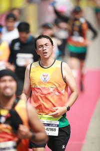 BIB: 42969
                            <button type="button" onclick="openModal(8410583)" class="btn btn-primary btn-sm float-right btn-popup" data-toggle="modal" data-target=".modal-high-quality">
                        <i class="fas fa-shopping-cart"></i> Add to Cart
                    </button>
                                            <button type="button" onclick="isThisMe(8410583, true)" class="btn btn-success btn-sm float-right btn-popup btn-isme hidden" data-toggle="tooltip" data-placement="bottom" title="นี่คือรูปของคุณใช่ไหม คลิกที่นี่เพื่อเอาเข้าอัลบั้ม">
                        <i class="fas fa-plus"></i> Add to album
                    </button>
                    <button type="button" onclick="isThisMe(8410583, false)" class="btn btn-warning btn-sm float-right btn-popup btn-isnotme hidden">
                        <i class="fas fa-ban"></i> Remove from album
                    </button>