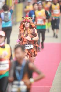 BIB: 47141
                            <button type="button" onclick="openModal(8233050)" class="btn btn-primary btn-sm float-right btn-popup" data-toggle="modal" data-target=".modal-high-quality">
                        <i class="fas fa-shopping-cart"></i> Add to Cart
                    </button>
                                            <button type="button" onclick="isThisMe(8233050, true)" class="btn btn-success btn-sm float-right btn-popup btn-isme hidden" data-toggle="tooltip" data-placement="bottom" title="นี่คือรูปของคุณใช่ไหม คลิกที่นี่เพื่อเอาเข้าอัลบั้ม">
                        <i class="fas fa-plus"></i> Add to album
                    </button>
                    <button type="button" onclick="isThisMe(8233050, false)" class="btn btn-warning btn-sm float-right btn-popup btn-isnotme hidden">
                        <i class="fas fa-ban"></i> Remove from album
                    </button>