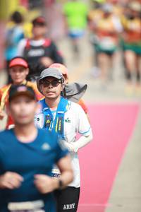 BIB: 
                            <button type="button" onclick="openModal(8411440)" class="btn btn-primary btn-sm float-right btn-popup" data-toggle="modal" data-target=".modal-high-quality">
                        <i class="fas fa-shopping-cart"></i> Add to Cart
                    </button>
                                            <button type="button" onclick="isThisMe(8411440, true)" class="btn btn-success btn-sm float-right btn-popup btn-isme hidden" data-toggle="tooltip" data-placement="bottom" title="นี่คือรูปของคุณใช่ไหม คลิกที่นี่เพื่อเอาเข้าอัลบั้ม">
                        <i class="fas fa-plus"></i> Add to album
                    </button>
                    <button type="button" onclick="isThisMe(8411440, false)" class="btn btn-warning btn-sm float-right btn-popup btn-isnotme hidden">
                        <i class="fas fa-ban"></i> Remove from album
                    </button>