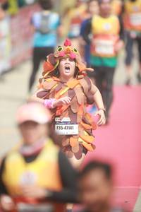 BIB: 47141
                            <button type="button" onclick="openModal(8233038)" class="btn btn-primary btn-sm float-right btn-popup" data-toggle="modal" data-target=".modal-high-quality">
                        <i class="fas fa-shopping-cart"></i> Add to Cart
                    </button>
                                            <button type="button" onclick="isThisMe(8233038, true)" class="btn btn-success btn-sm float-right btn-popup btn-isme hidden" data-toggle="tooltip" data-placement="bottom" title="นี่คือรูปของคุณใช่ไหม คลิกที่นี่เพื่อเอาเข้าอัลบั้ม">
                        <i class="fas fa-plus"></i> Add to album
                    </button>
                    <button type="button" onclick="isThisMe(8233038, false)" class="btn btn-warning btn-sm float-right btn-popup btn-isnotme hidden">
                        <i class="fas fa-ban"></i> Remove from album
                    </button>